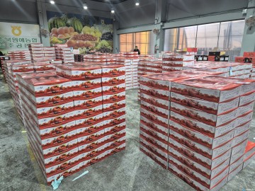 충주 농수산물도매시장, 사과·복숭아 규격 상자 전환 추진