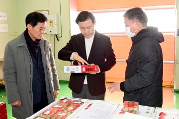 고령 딸기, 베트남·홍콩으로 본격 수출 시작