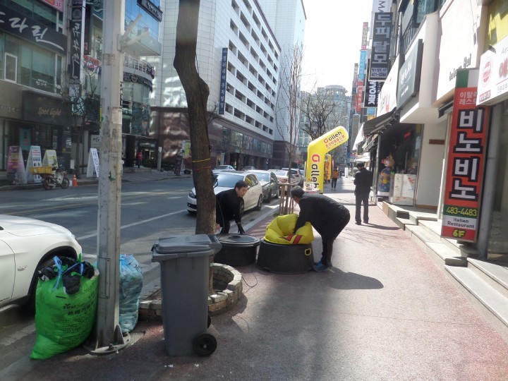 대전 서구, 불법입간판·음란성 광고물 특별정비!