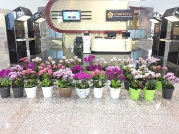 대전시의회, 화훼 농가 지원 발 벗고 나서
