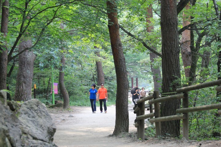 원주시, 도심속 푸른 숲 '학교 숲 조성' 사업 추진