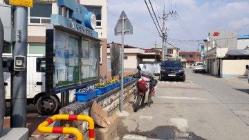 상주시 낙동면, 봄꽃 가로화단 조성 