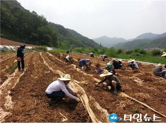 여름 농사 휴가철 뱀 조심하세요