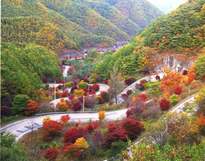 2015년 10월30일(금)자 