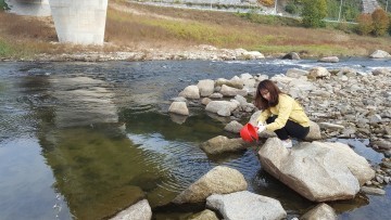 남하면, 하천에 다슬기 95,000마리 방류