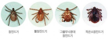 봄철 야외활동 시 참진드기 물림 감염예방 강조한 태안군