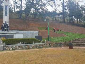 진도군, 군강공원 정비…생활권 녹지공간 확충  