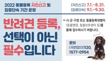 경북도, 동물등록 자진신고 기간 운영