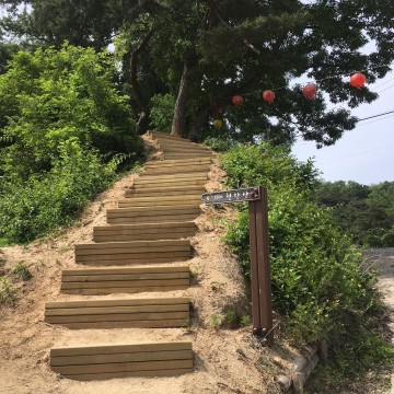 영주시 주요 등산로 정비 완료
