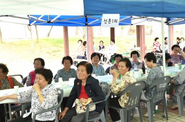 청송군 진보면, 주민화합대잔치 개최