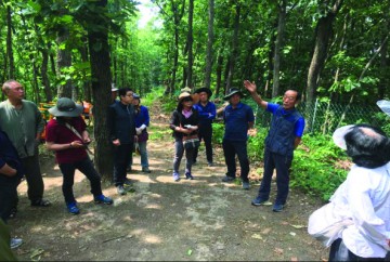 군위군 산림자원 기반 소득증대 및 일자리 창출 기대