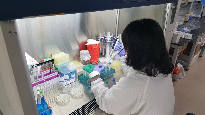 세종시, 설 명절 먹거리 안전성 1건 ‘부적합’