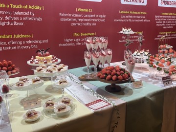 고령 딸기, 경북 딸기 품평회에서 해외 바이어 호평