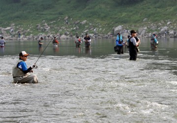 쏘가리 루어낚시 진검승부 제철 돌아온 단양 남한강 쏘가리 낚시