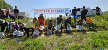 의성군 비안면, 잉어류·동자개 어린고기 방류