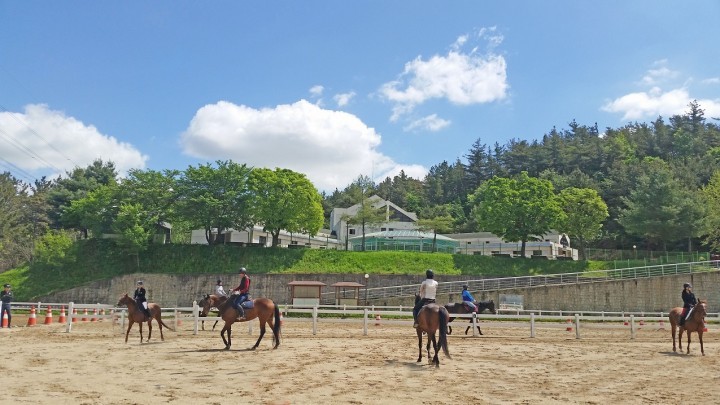 대전시설관리공단, 말산업 육성 정부공모사업 선정