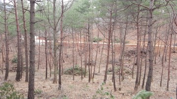 영덕군·군산림조합, 민관협력형 산림경영 시범사업 시행