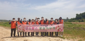 부성1동 주민자치위원회, 코스모스 꽃길 조성