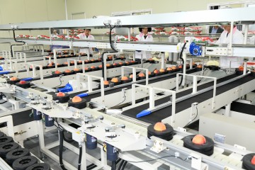 영주시 복숭아 산지유통센터 준공