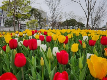 대전 한밭수목원, 4월의 봄꽃 만개