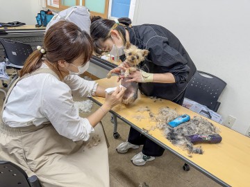 대전 대덕구, 취약계층 반려동물 무료 미용 지원