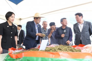 경주시, 알팔파 자급화로 축산농가 숨통 트인다