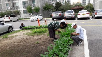 정나눔 텃밭으로“이웃사랑”쑥쑥 키워요!