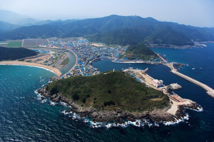 영덕군 축산항서 영덕물가자미 축제 개최
