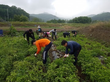 대전시설관리공단 기성종합복지관, 농가 일손 돕기 봉사활동 실시