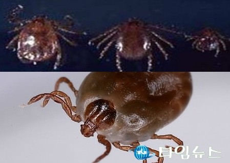 군위군, 폭염 피해와 살인 진드기 예방활동 강화