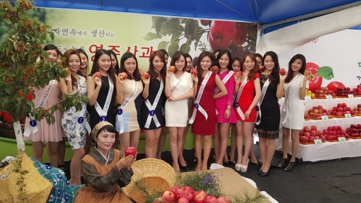  영주사과축제 부석사 은행나무 단풍길과 함께해요
