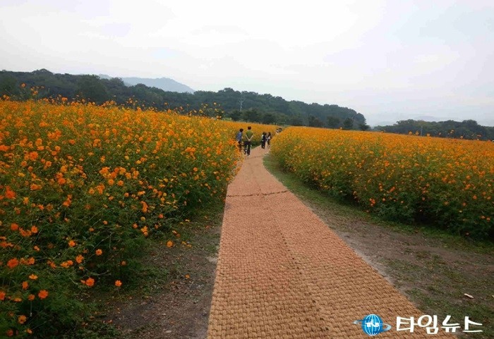 경주 동부사적지 주변 새롭게 단장