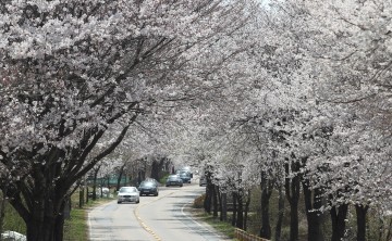대전 동구, 회남로 행복누리길 사업 등 국비 확보 ‘결실’