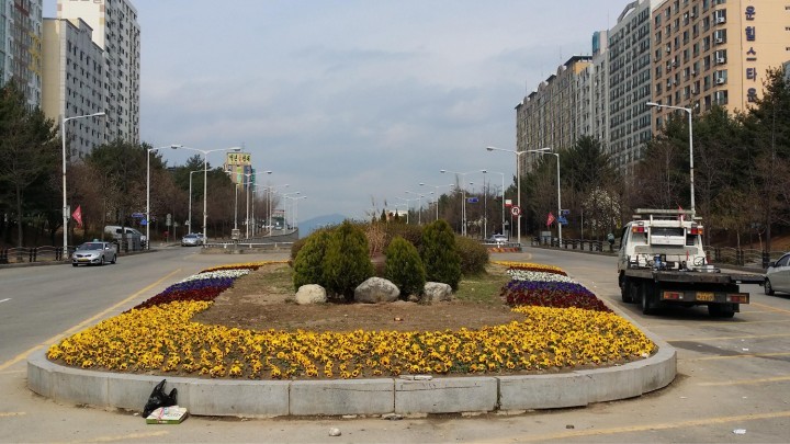 대전 서구, 봄이 왔어요!