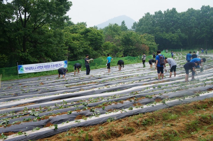 대전4-H연합회, 체험활동 및 농촌봉사 활동 실시