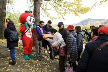 영주사과축제  27일부터 11월 3일까지 8일 간부석사 입구에서 개막