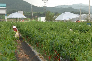 안정적인 인력공급으로 농업 경쟁력 향상