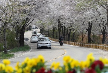 대전 동구, 대청호 행복누리길 2단계 사업 ‘순항’