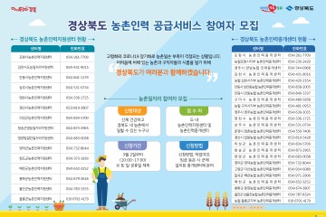 선제적 인력공급 추진으로 경북도, 농번기 일손지원