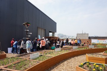꿈생산학교에서 텃밭디자이너 식물의사 직업 체험