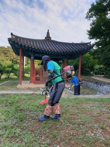 도지정문화재 여름맞이 단장하는 상주시