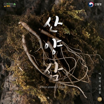 7월 이달의 임산물 ‘산양삼’