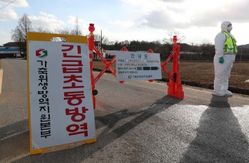 충남도, 천안 종오리 농장서 조류인플루엔자 항원 검출