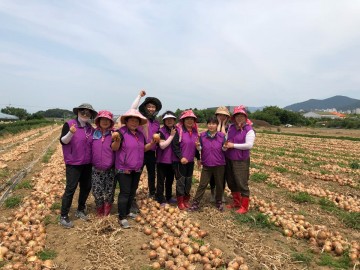 달성군  ‘농촌일손돕기’로 주민에서 환영받다