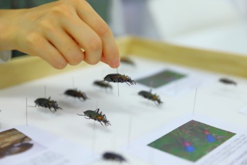 국립백두대간수목원 ‘곤충(준)전문가 양성 과정’ 수강생 모집 