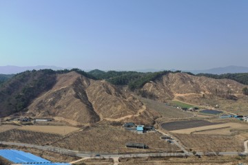 봉화군, 산불피해지 복구 등 조림사업 착수 양봉농가 소득증대 기여