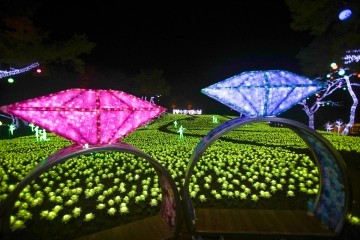 인생에 특별하게 남을 여행... 단양에서 