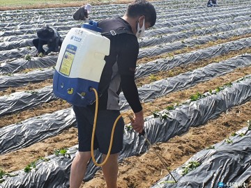 특수임무유공자회 청주시지회, 농촌일손 돕기 봉사활동 실시