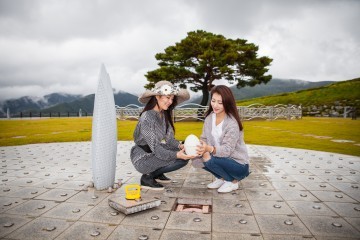 정선 초록바다 고랭지 배추밭 풍경