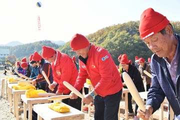 제16회 청송사과축제 개최 준비 이상 무!